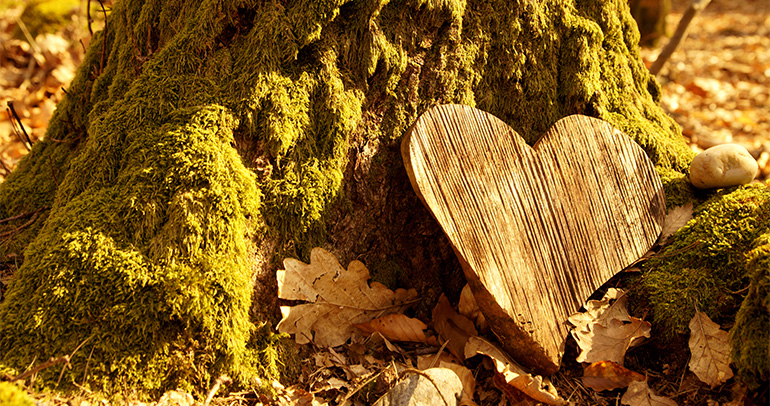 Primo piano di un cuore in legno intagliato adagiato su un albero